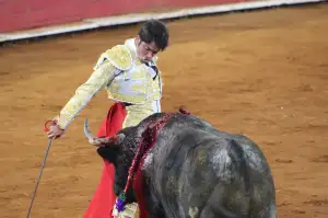 Taurin